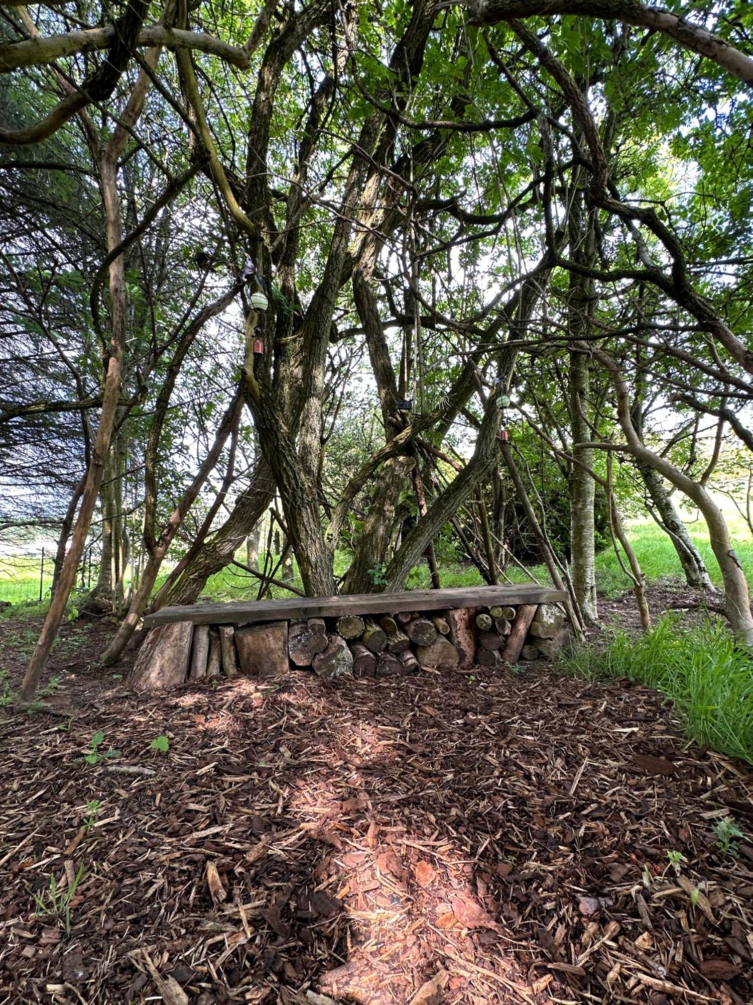 مبيت وإفطار إنفيريري Awakening Alchemy Retreat Centre المظهر الخارجي الصورة