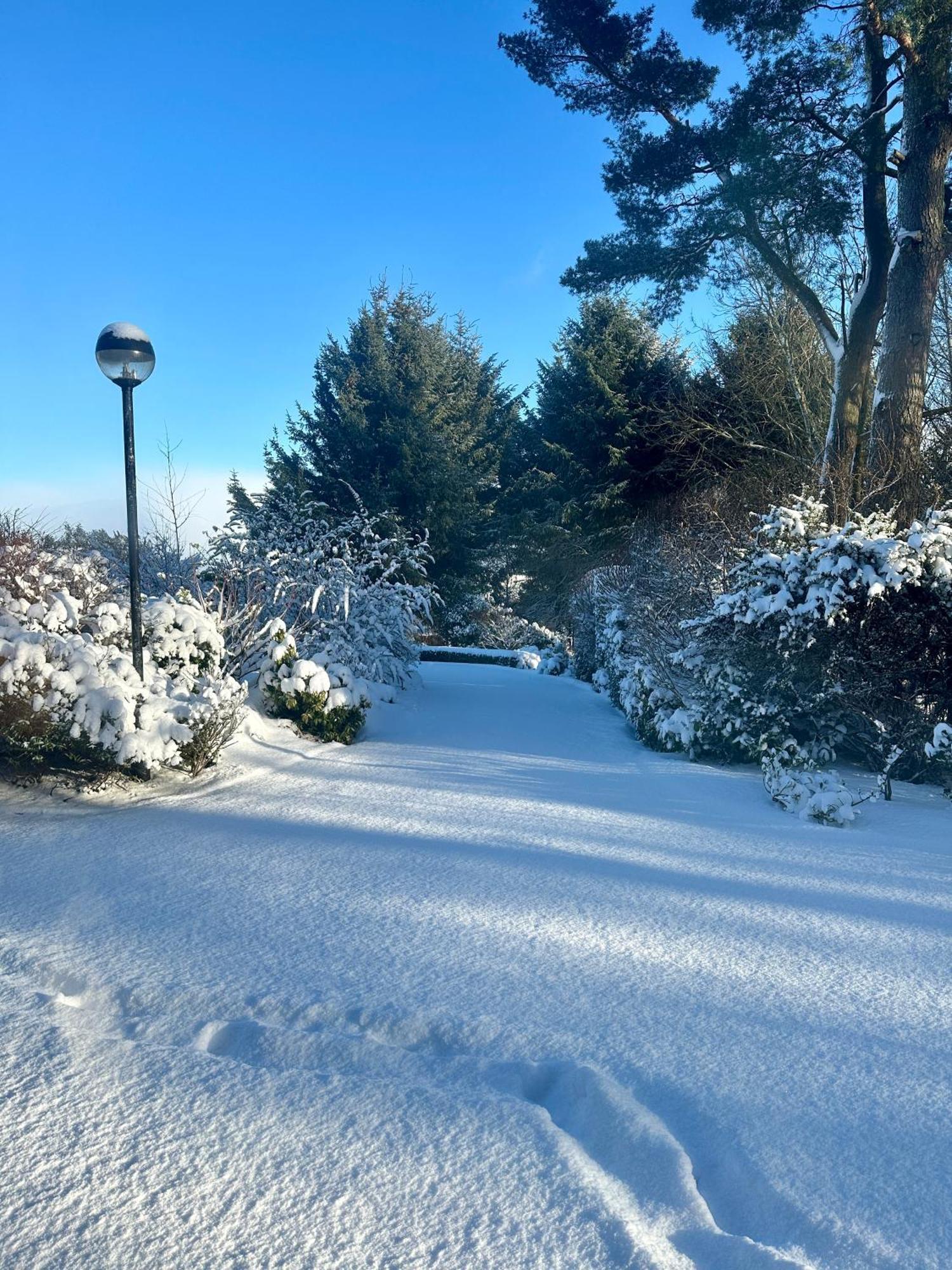 مبيت وإفطار إنفيريري Awakening Alchemy Retreat Centre المظهر الخارجي الصورة